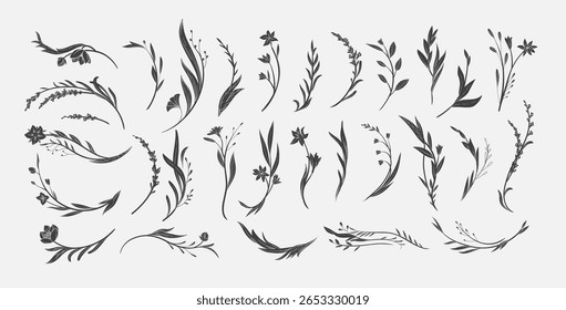Conjunto de elegantes elementos caligráficos de design botânico no estilo silhueta. Decoração floral e ramos graciosos. Flores silvestres de casamento para convite salvar o cartão de data