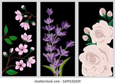 Set of elegant covers with flowers. Sakura, lavender, rose on a black background. Cartoon, vector illustration, poster, cover, poster, banner, packaging