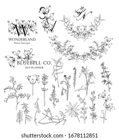 Set von eleganten Gravierungen wilder Wiesen Blumen und Text für Ihr Design.