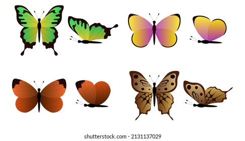 Set of elegant exotic butterflies. Beautiful realistic insects with colorful gradient wings. Top and side view. Design element for printing. Cartoon flat vector collection isolated on white background