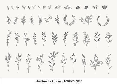 Ensemble d'éléments floraux élégants pour le graphisme et le web design. Illustrations vectorielles pour la beauté, la mode, les produits naturels et biologiques, le spa et bien-être, les mariages et les événements, l'environnement. 