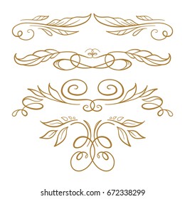 Set of elegant floral elements for your design