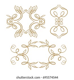Set of elegant floral elements for your design