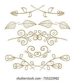 Set of elegant floral elements for your design