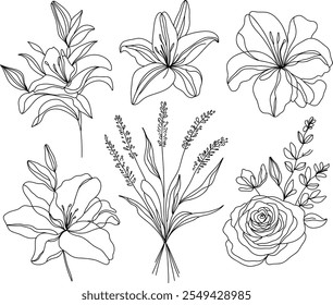 Set of elegant floral line art illustrations lilies, a rose, and a bouquet of botanical elements, drawn in minimalistic. Collection floral minimalism continuous line.