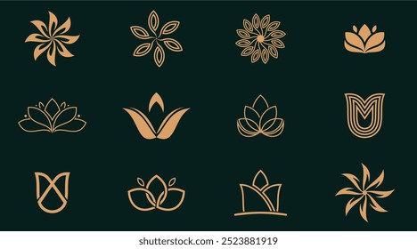 Set of elegant flower logo icon vector, Gold Flower collections