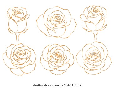 Conjunto de elegante contorno de flores de color rosa dorado. Ilustración vectorial sobre fondo blanco.