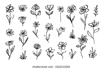 Set of elegant hand drawn ink flowers and grass. Sketch delicate one line inky floral blossoms and leaves elements for pattern design, greeting card decoration, logo