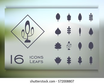 set of elegant  leaves elements of nature ecology business leaflet for web background design