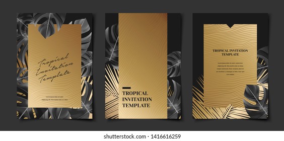 Set of elegant luxurious black and gold accent cover template layout with monstera and coconut leaf