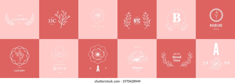 Set of elegant and luxury signs for beauty, natural and organic products. Vector illustrations for graphic and web design, marketing material.