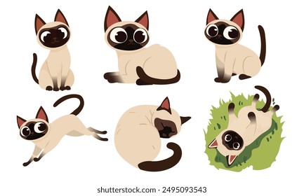 Set of Elegant Siamese Cat Illustrations in Various Graceful Poses