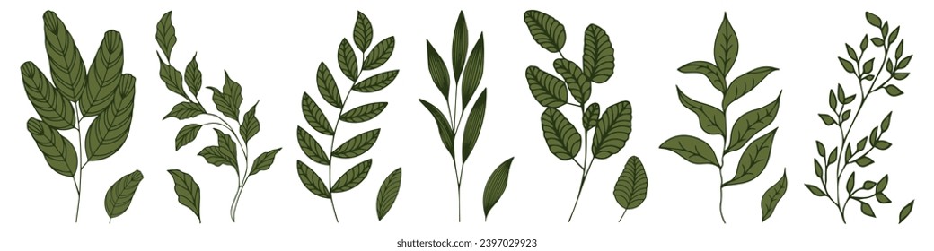 Conjunto de elegantes siluetas de flores, ramas y hojas. Elementos botánicos ligeros de vector dibujados a mano	