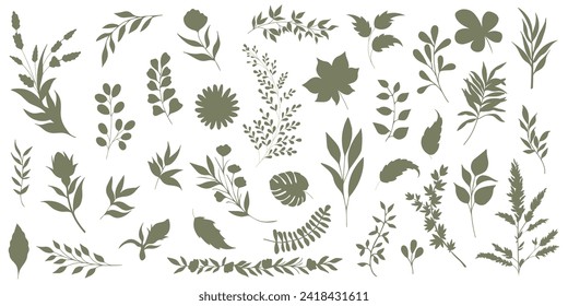 Set of elegant silhouettes of flowers, branches and leaves. Thin hand drawn vector botanical elements