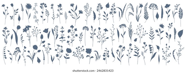 Set of elegant silhouettes of flowers, branches, leaves, wildflowers and herbs. Thin hand drawn vector botanical elements