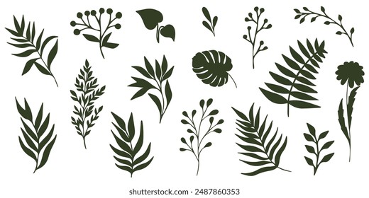 Set of elegant silhouettes of flowers, branches and leaves. Thin hand drawn vector botanical elements