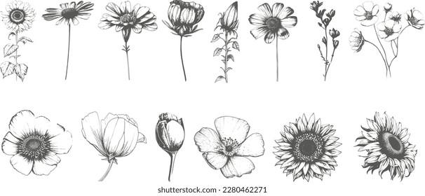 A set of elegant simple wildflowers in neutral black and white colors. Simple and graphic shape, hand drawn line wedding herb and invitation save the date card.