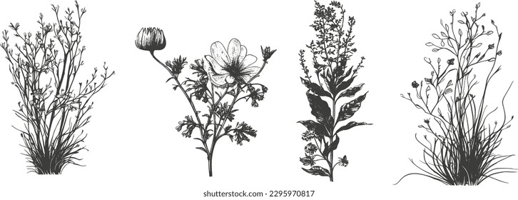 Un conjunto de flores silvestres sencillas y elegantes con colores neutros en blanco y negro. Forma simple y gráfica, hierba de boda de línea dibujada a mano e invitación a guardar la tarjeta de fecha.