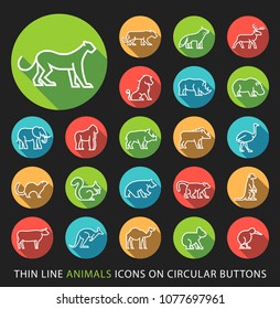 Set of Elegant Universal White Minimalistic Thin Line Animals Icons on Circular Colored Buttons on Black Background