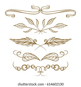 Set of elegant vintage design elements