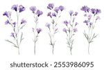 A set of elegant watercolor illustrations of purple wildflowers with thin green stems, showcasing natural beauty and artistic charm.
