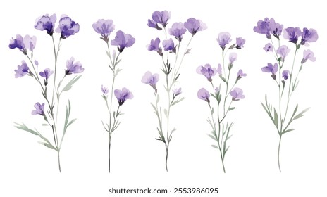 A set of elegant watercolor illustrations of purple wildflowers with thin green stems, showcasing natural beauty and artistic charm.
