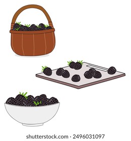 Conjunto de elemento negro frambuesa fruta diseño gráfico Vector nueva versión. Elemento de colección frambuesas negras en estilo de dibujos animados. Grupo de Elementos de bayas. Linda ilustración realista. Menú de comida.