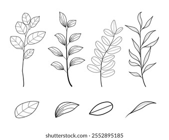 Set Element Hand drawn flora,flowers,leaves, herbs,
Vector Minimal floral botanical in line art style for label,logo,wedding invitation, wreath,frame,border simple botanical illustration.