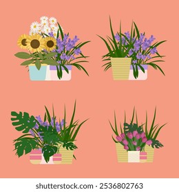 Set element interior floral aesthetic blooming flower in pot. Vector illustration design for interior element design