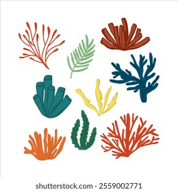 set element lineart coral collection sea animal