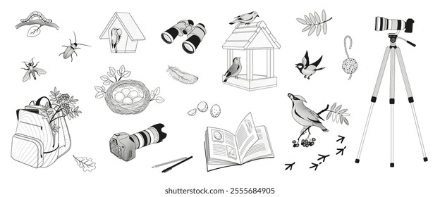 set elements about birdwatching, binoculars, camera, insects, birds, feeder, notebook, bird nest, bird eggs, bird traces	