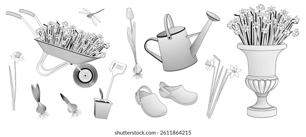set elements about spring flowers gardening, daffodil flower, tulip flower, sprouted plant bulb, pair of rubber gardening boots, watering can,Blooming daffodils in decorative planter. Black and white 
