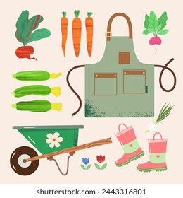 Set of elements: apron, rubber boots, garden cart on one wheel, carrots, beets, zucchini, radishes, onions. Vector illustration of fresh organically grown vegetables on country farm in flat style.