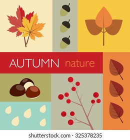 Set elements autumn abstract seamless for background with maple leaves, chestnut, acorn, rowanberry, sorb, aspen, basswood. Back to school. Vector illustration. Wonderful elements to your design.