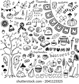 Set of elements for the autumn theme, vector