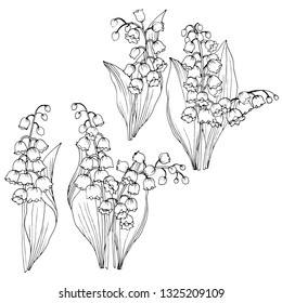 set of elements in black and white, leaves and flowers of the lily of the valley