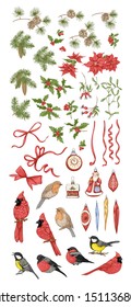 Set of elements for Christmas design: birds robin, cardinal, plants: spruce, pine, poinsettia, mistletoe, fir, fir-tree, red ribbon, vintage decoration. Outline hand drawing vector illustration.	