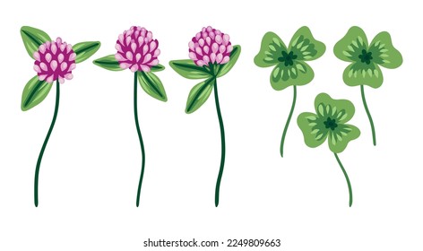 Set of elements with clover flowers and leaves. Hand drawn wild plants: small clover flowers on stems, leaves isolated on white background. Vector illustration.