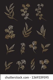 Set elements collection of gold leaves herbs