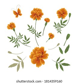 A set of elements for creating compositions from marigold flowers, twigs and leaves