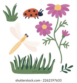 Un conjunto de elementos para la decoración y el diseño - flor, libélula, mariquita, hierba, hojas. Ilustración vectorial de plantas estilizadas e insectos al estilo de las caricaturas. Aislado sobre un fondo blanco.