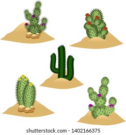 Set of elements to design desert landscape scenes or background. Cactuses in blossom in desert. Cartoon or game asset. Isolated elements, Vector illustration