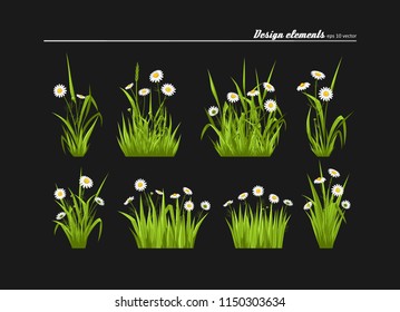 Set of elements for design - meadow camomiles, green grass. A vector.