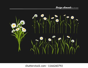 Set of elements for design - meadow camomiles, green grass. A vector.
