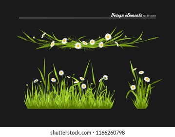 Set of elements for design - meadow camomiles, green grass. A vector.