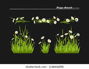 Set of elements for design - meadow camomiles, green grass. A vector.