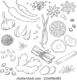 Set of elements for design, spices and seasonings, vector illustrations, line art