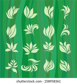 set of elements for design - stylized leaves on a green background