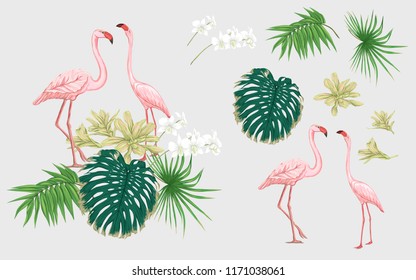 Set of elements for design with tropical plants, palm leaves, monsters, orchids and flamingo birds.  Colored vector illustration.

