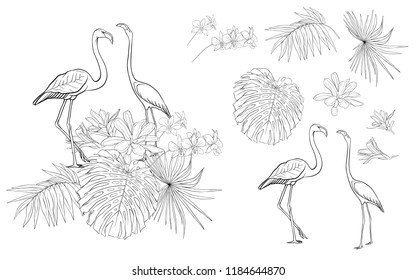 Set of elements for design with tropical plants, palm leaves, monsters, orchids and flamingo  birds. 
Outline hand drawing vector illustration.
